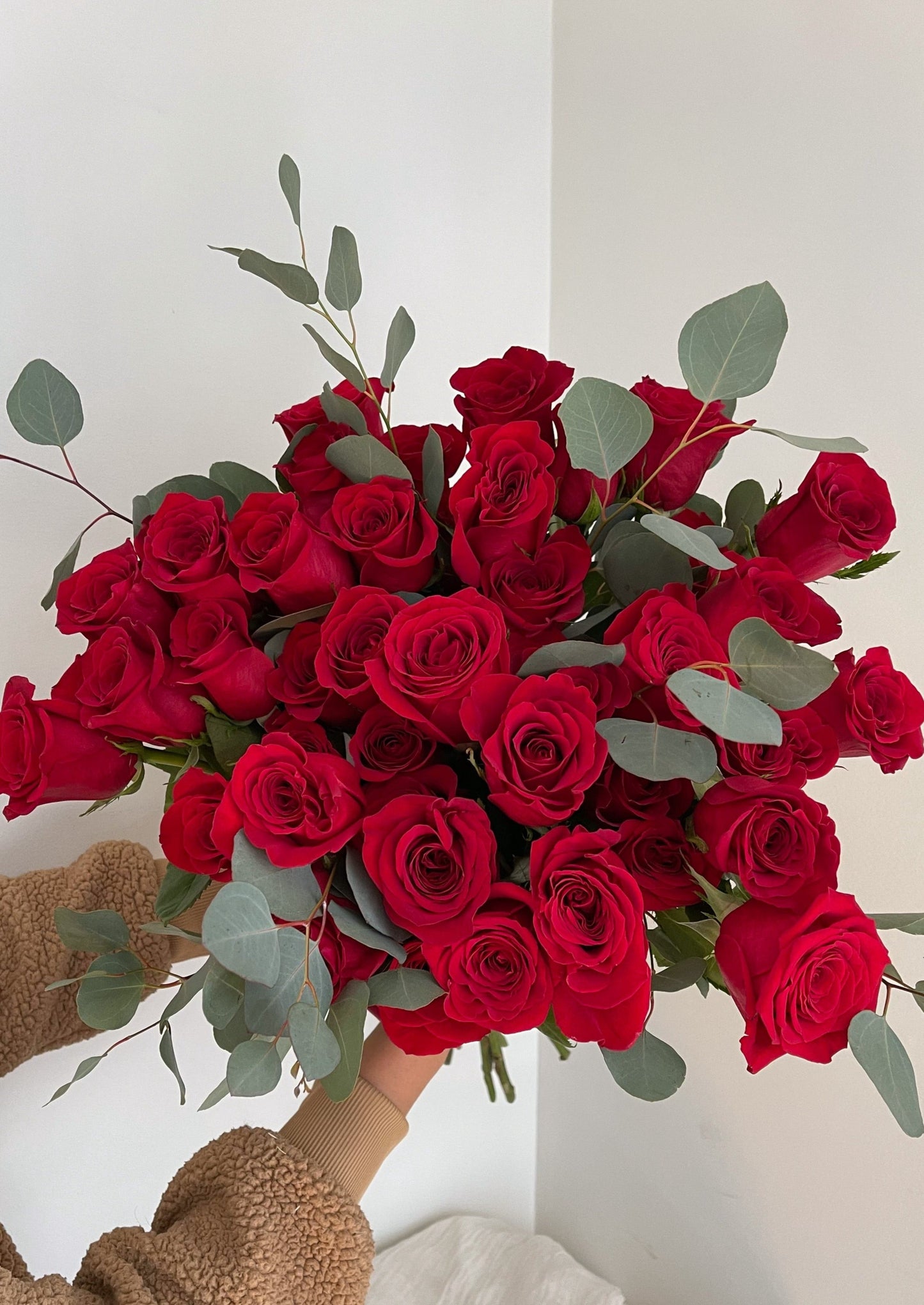 Classic Red Roses